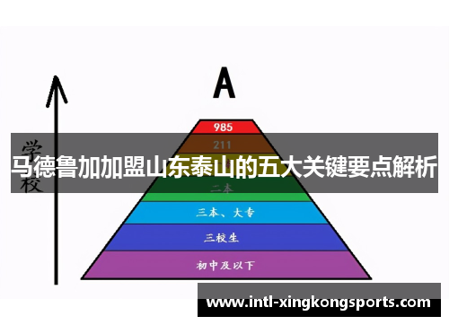 马德鲁加加盟山东泰山的五大关键要点解析