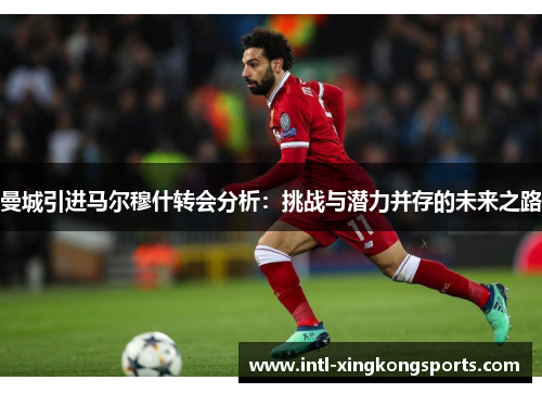 曼城引进马尔穆什转会分析：挑战与潜力并存的未来之路